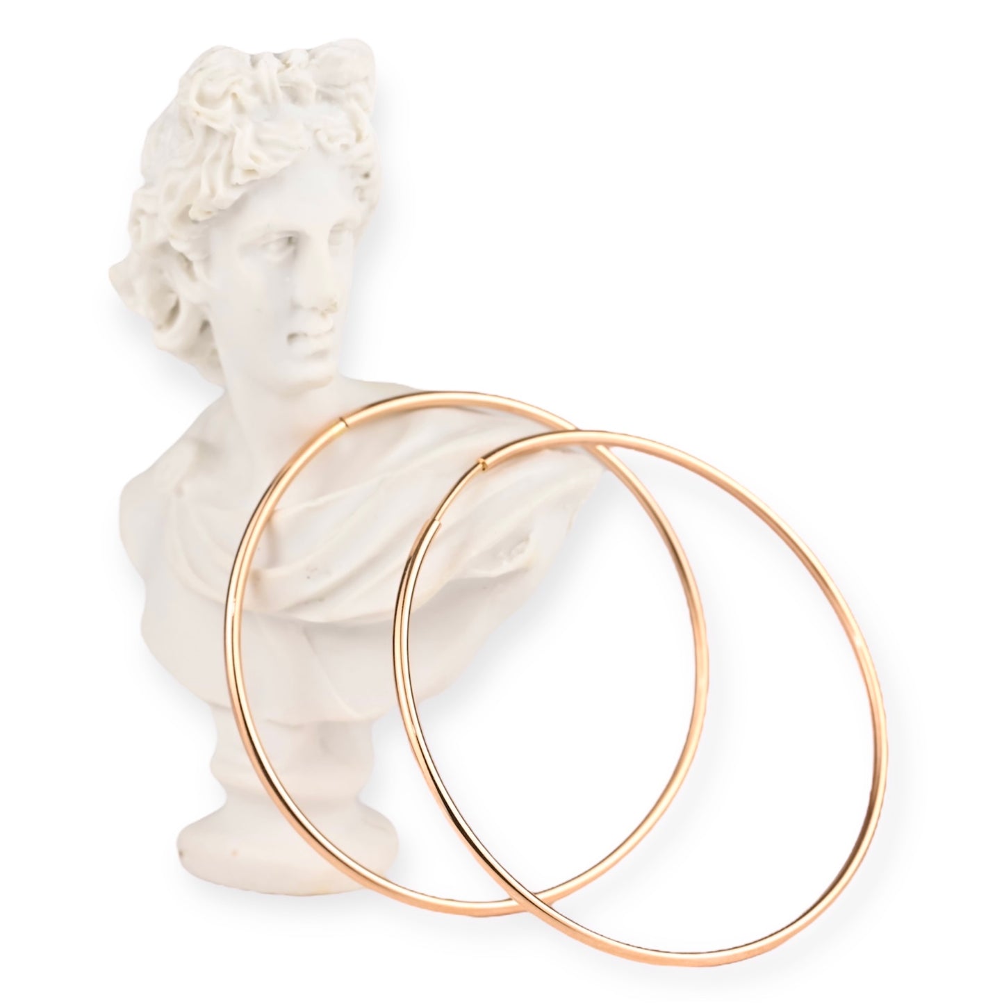 Hoops Earrings