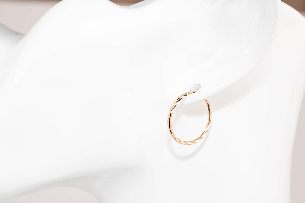 Rose Gold Hoops Earrings