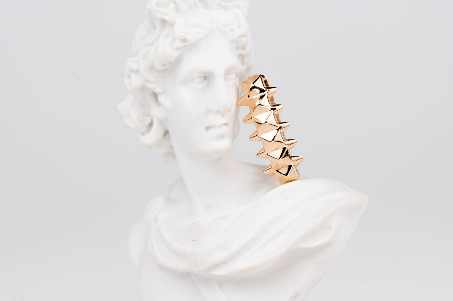 Rose Gold Earrings