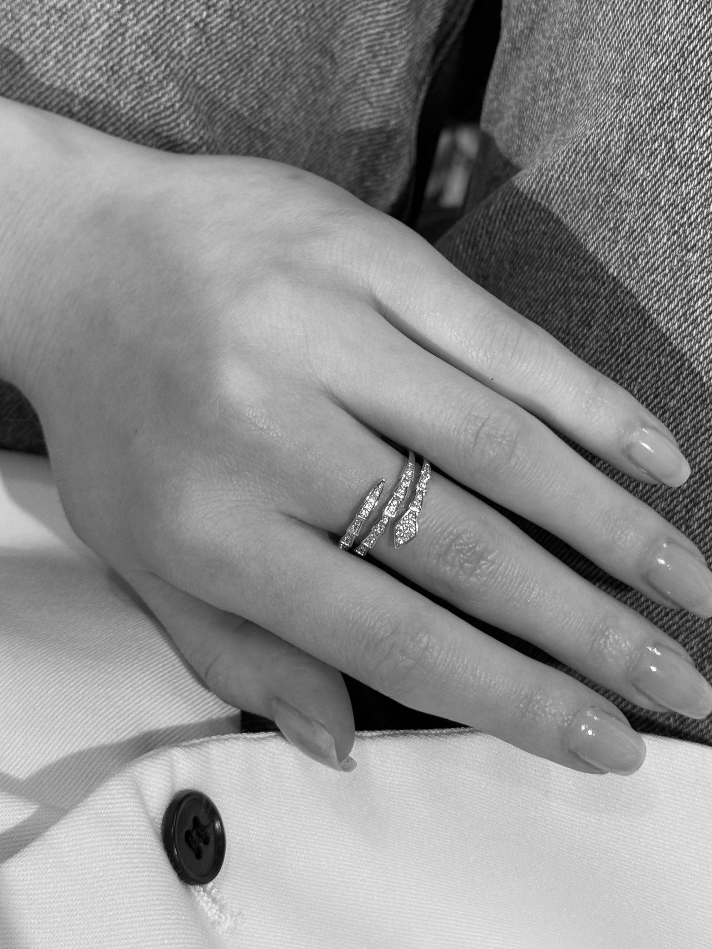 Silver Ring Snake