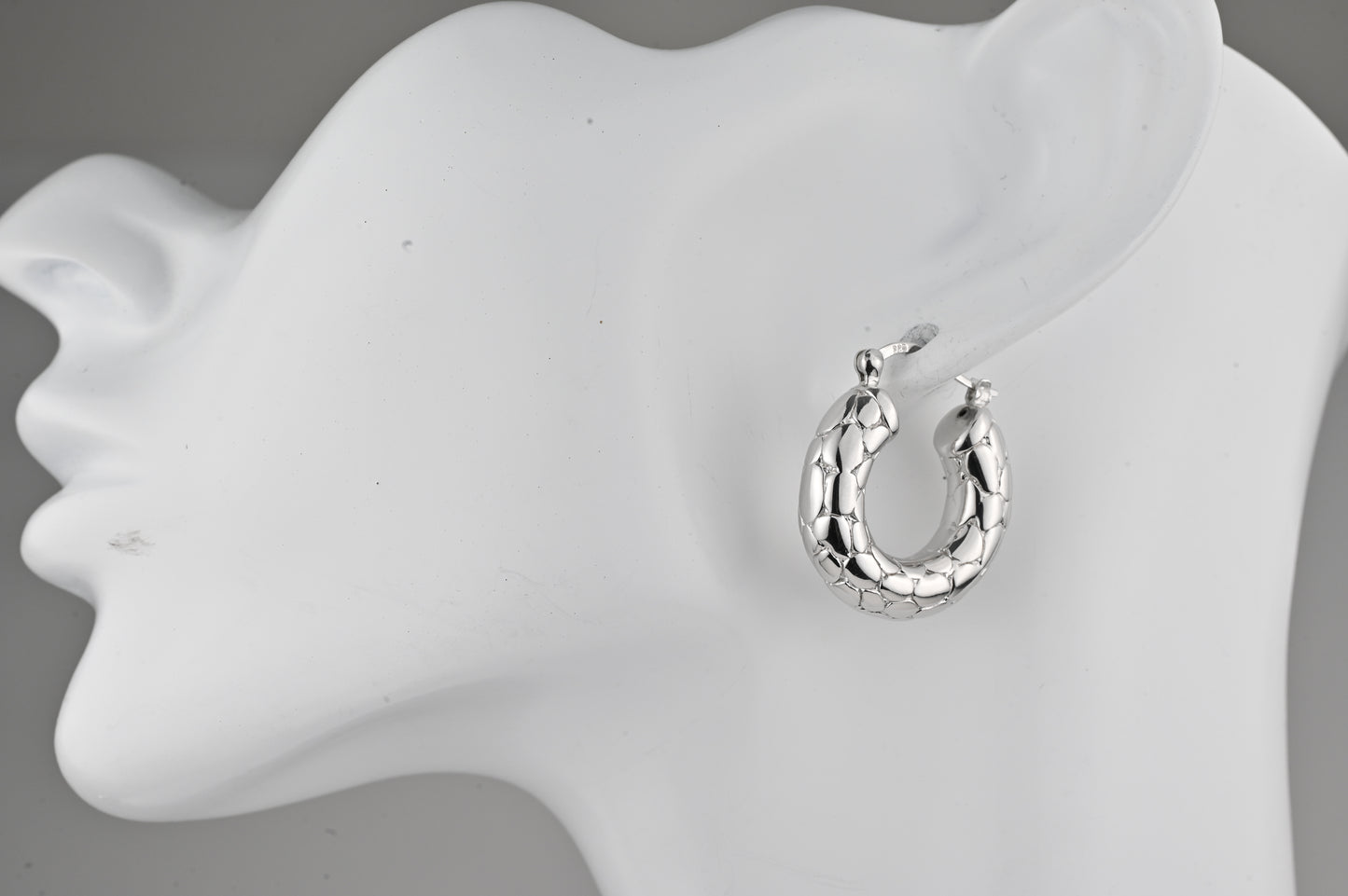 Hoops Silver Earrings