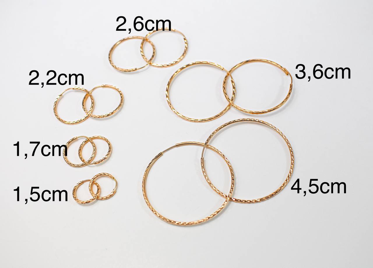 Hoop Earrings