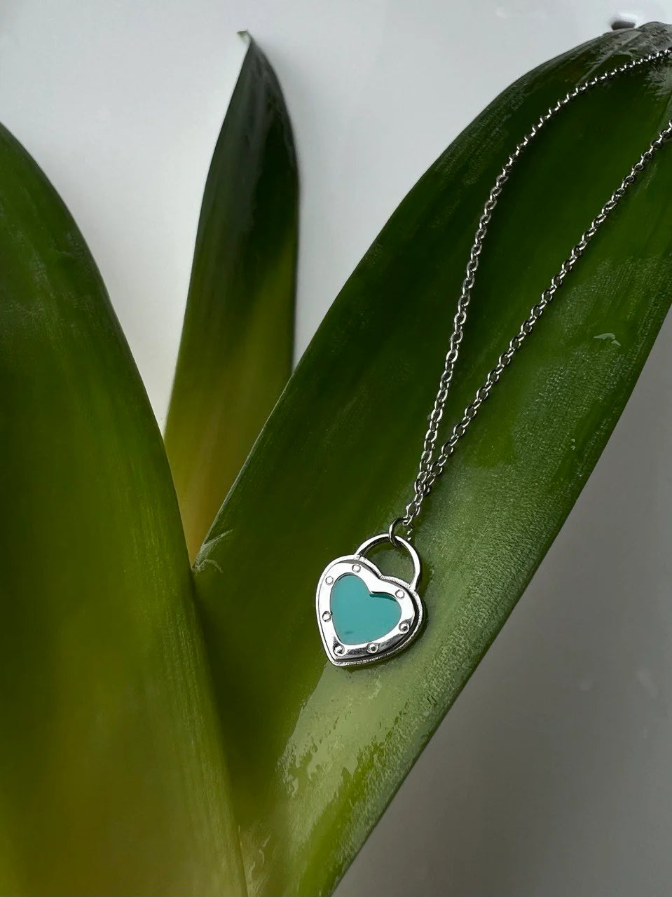 Silver Colored Heart Locket Necklace