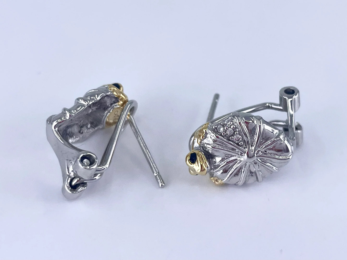Little Golden Frog Jewelry Silver Set
