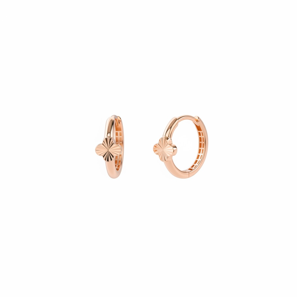 Rose Gold Hoops Earrings