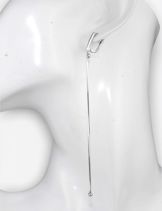 Dangle Silver Earrings