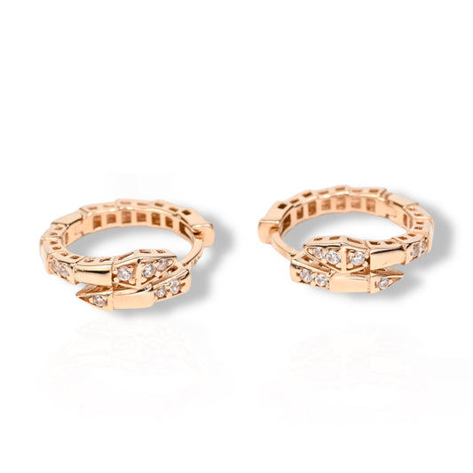 Hoops Earrings Snakes