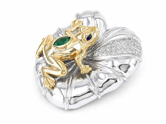 Little Golden Frog Jewelry Silver Set