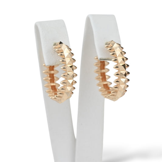 Hoops Earrings