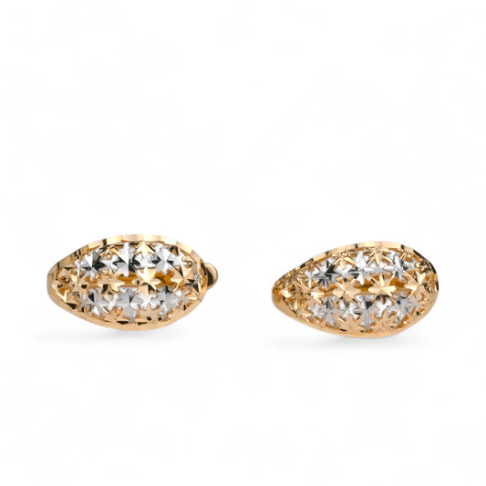 Earrings Gold Star
