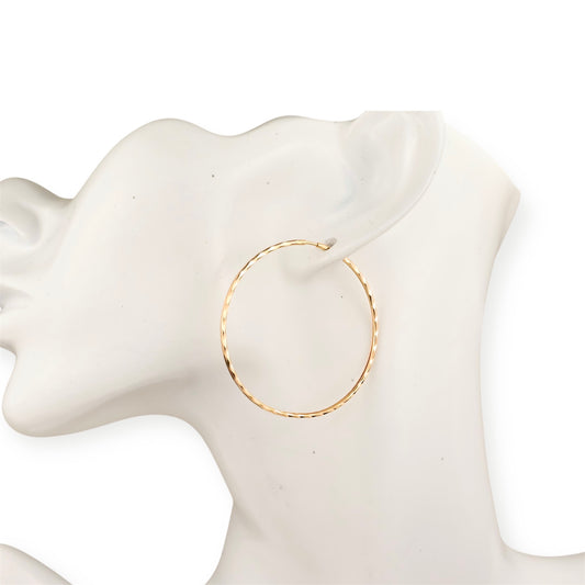 Hoops Earrings