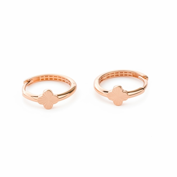 Rose Gold Hoops Earrings