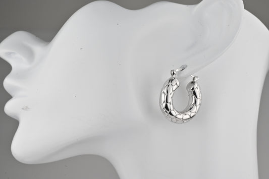 Hoops Silver Earrings