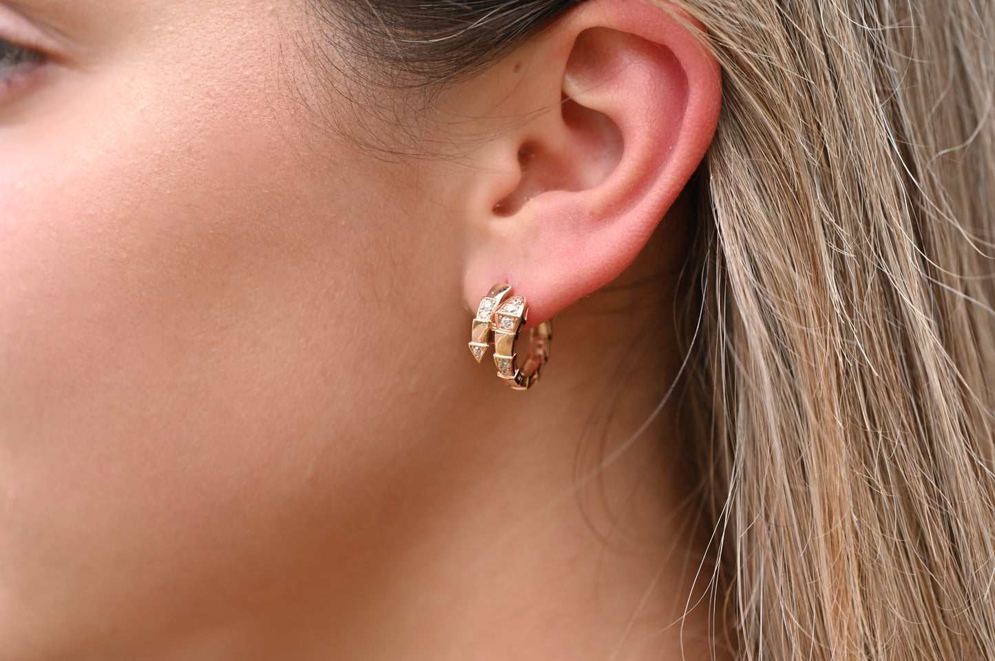 Earrings Snakes