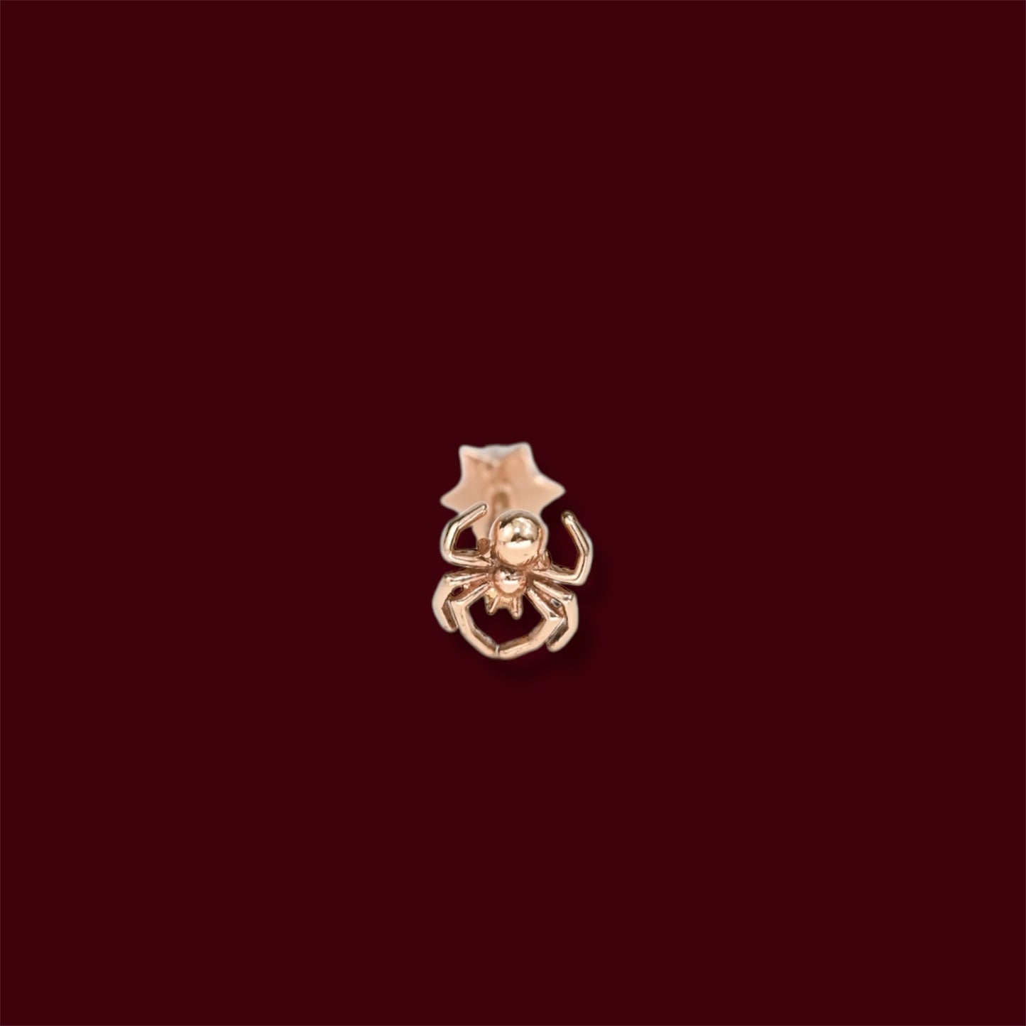 Ear Piercing Spider