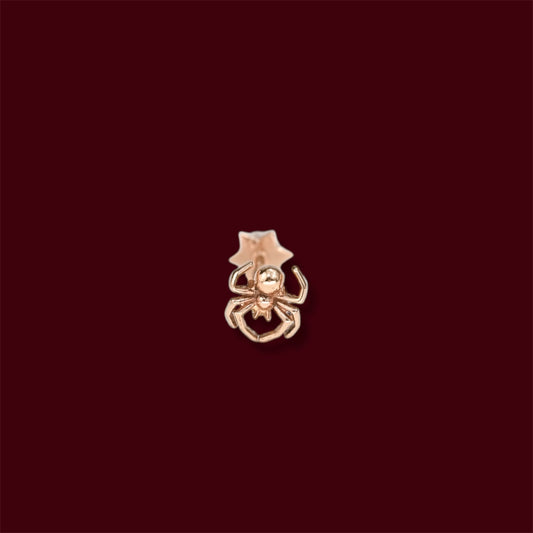 Ear Piercing Spider