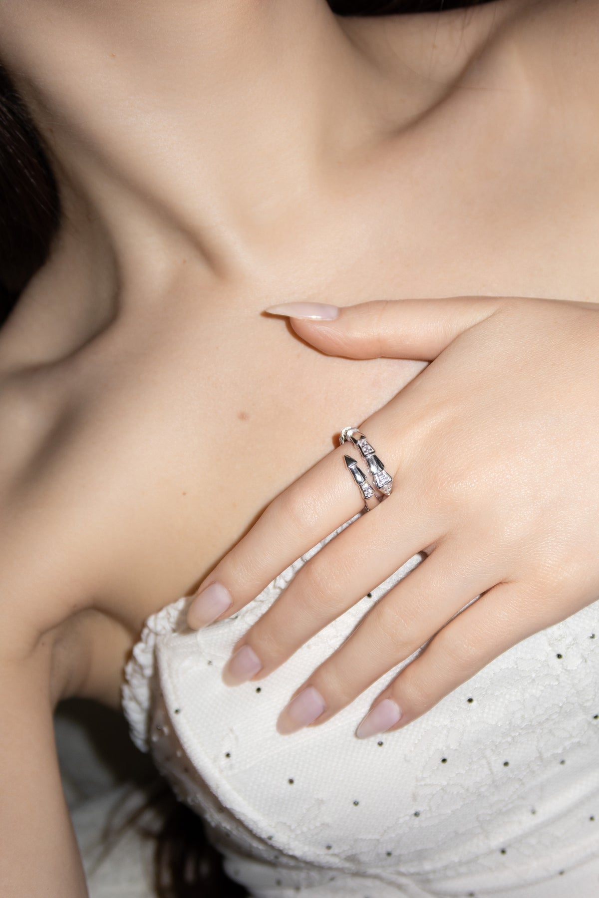 Silver Ring Snake