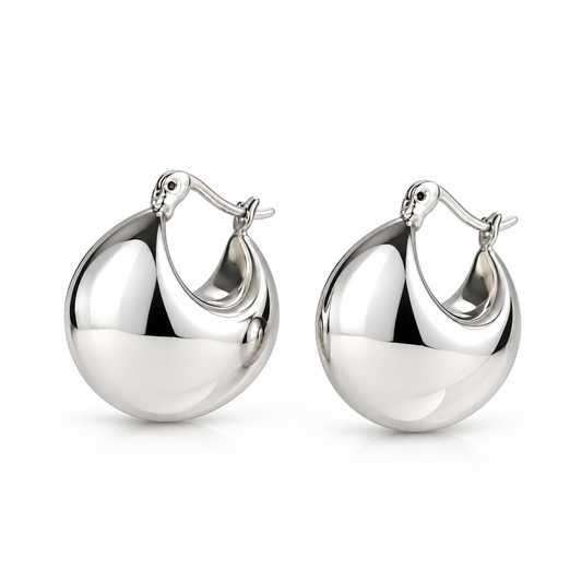Silver 925 Earrings