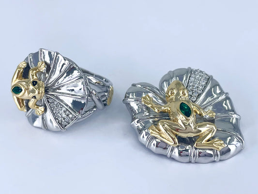 Little Golden Frog Jewelry Silver Set